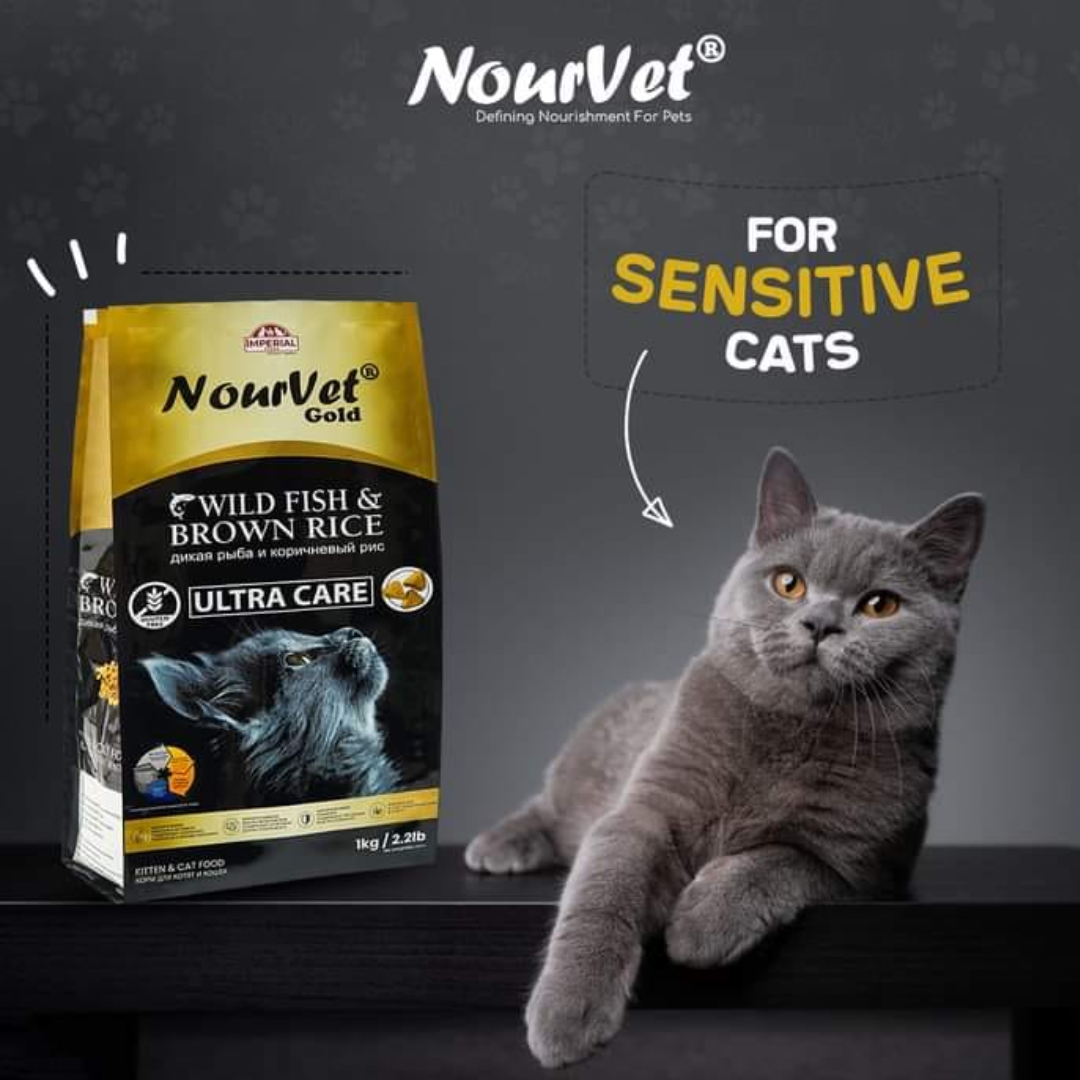 NourVet Wild Fish Brown Rice Gold - Image 3