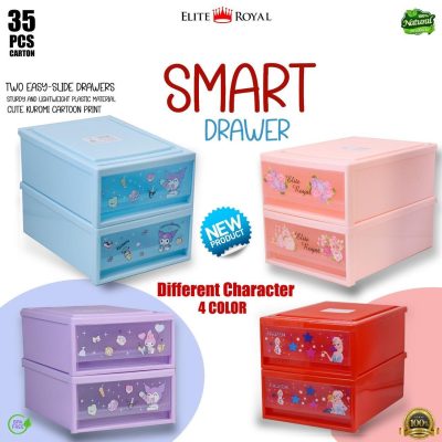SMART DRAW ORGANIZER (SINGLE LAYER)